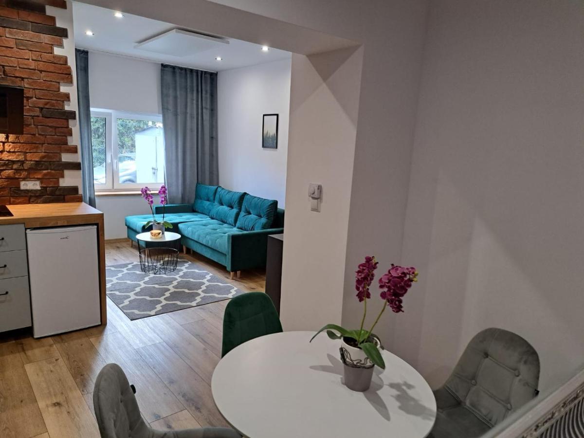 Apartament Karkonoskie Zacisze App Lomnica  Zewnętrze zdjęcie